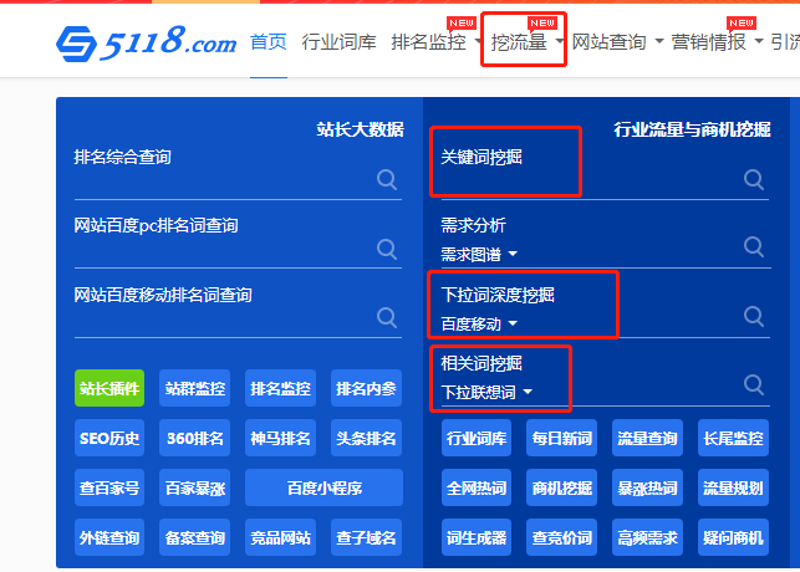 站群程序市场动态：机遇与挑战并存