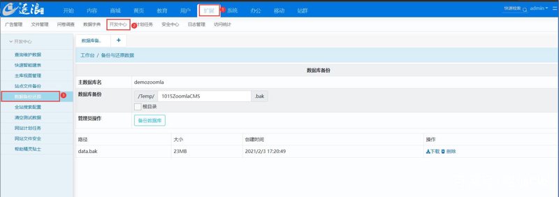 数字化转型新风向：站群系统助力企业升级