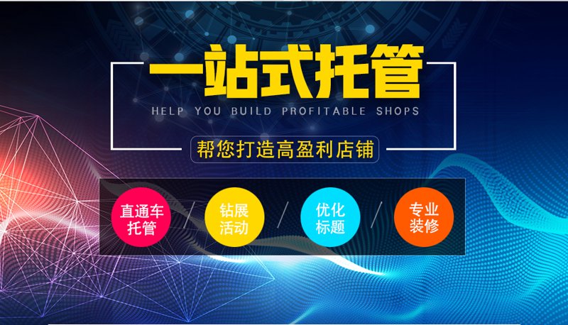 聚焦站群软件趋势：构建高效网络联盟